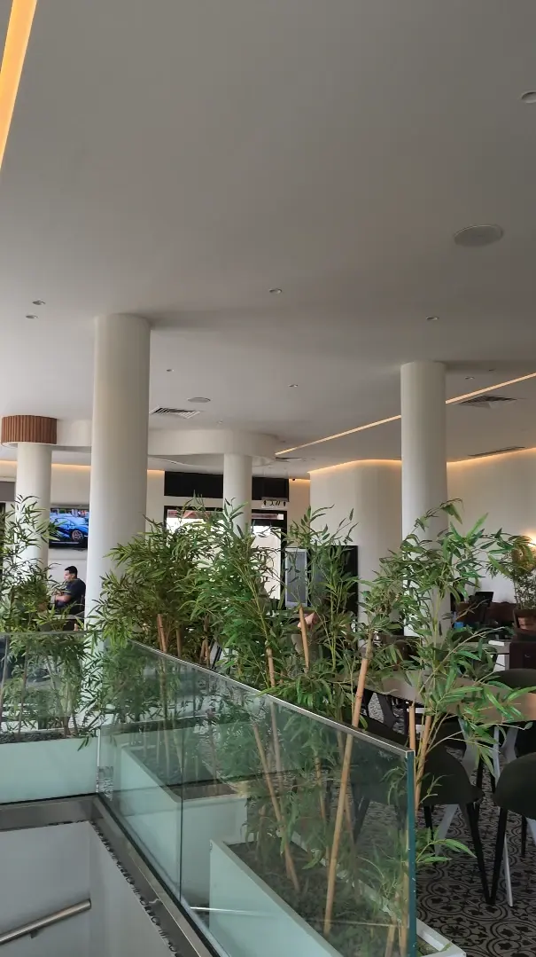 La salle du Twins vue de l'escalier : bambous derrière une rambarde en verre, colonnes blanches et plafond lumineux.