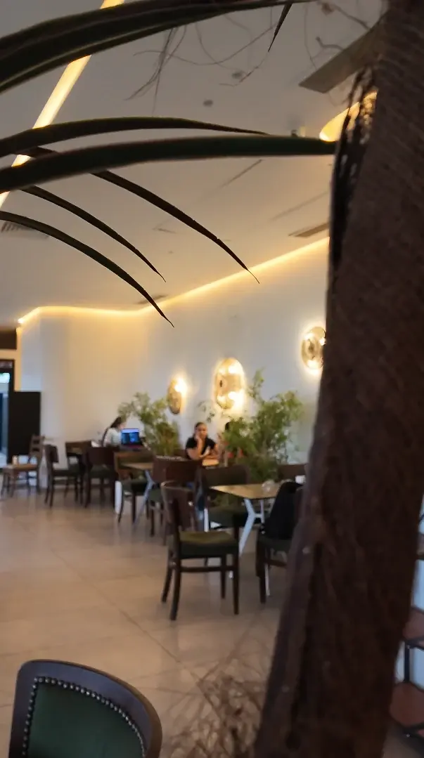La salle en profondeur, entre les feuilles d'un palmier : clients attablés sous les appliques dorées.